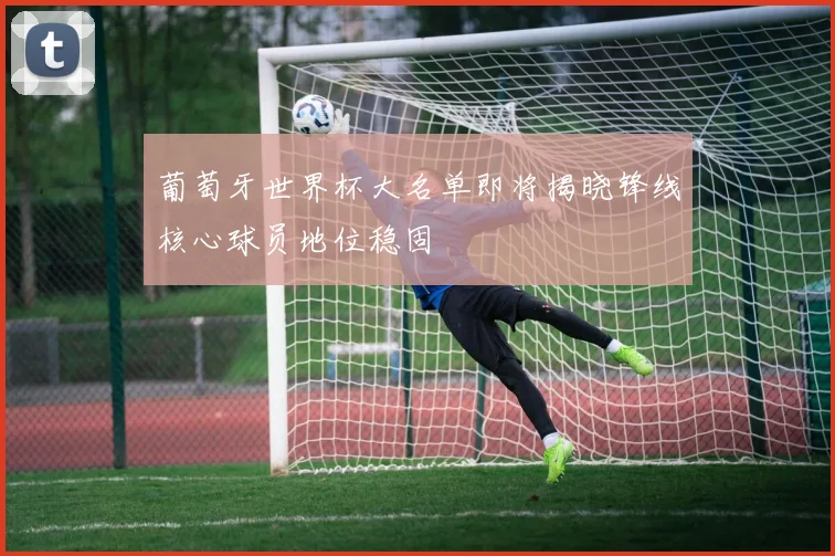 葡萄牙世界杯大名单即将揭晓锋线核心球员地位稳固