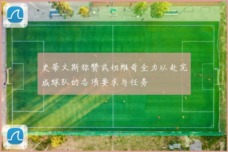 史蒂文斯称赞武切维奇全力以赴完成球队的各项要求与任务