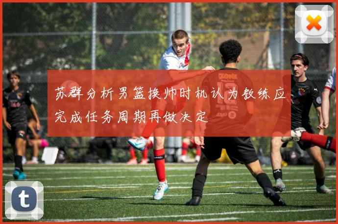 苏群分析男篮换帅时机认为教练应完成任务周期再做决定